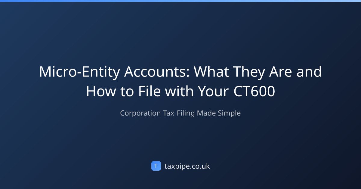 Micro-Entity Accounts: What They Are and How to File with Your CT600 ...